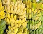 بازداشت سلطان موز! + جزئیات