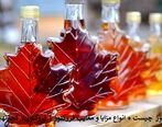 فروکتوز چیست + انواع مزایا و معایب فروکتوز | فروکتوز از کجا تهیه کنیم