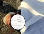 جنازه وحشتناک مرد تهرانی وسط بزرگراه آزادگان
