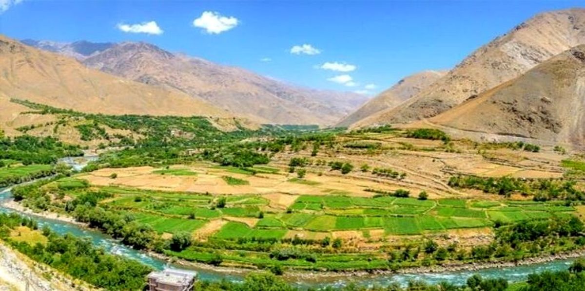 ادعای جنایت  وحشتناک طالبان در پنجشیر