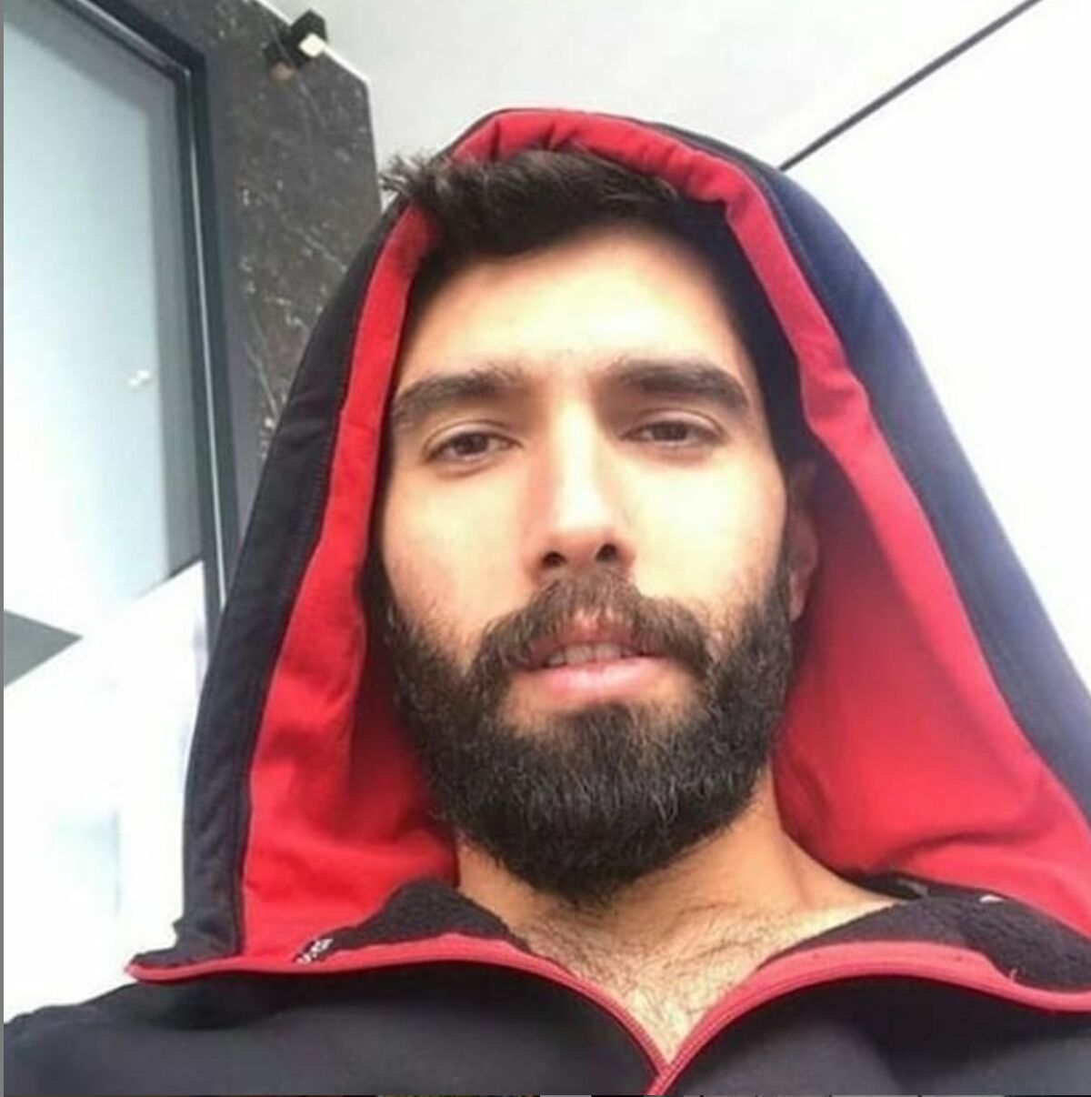 زندگی نامه سید محمد موسوی 