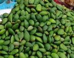 خطر مرگ برای مصرف کنندگان این میوه بهاری