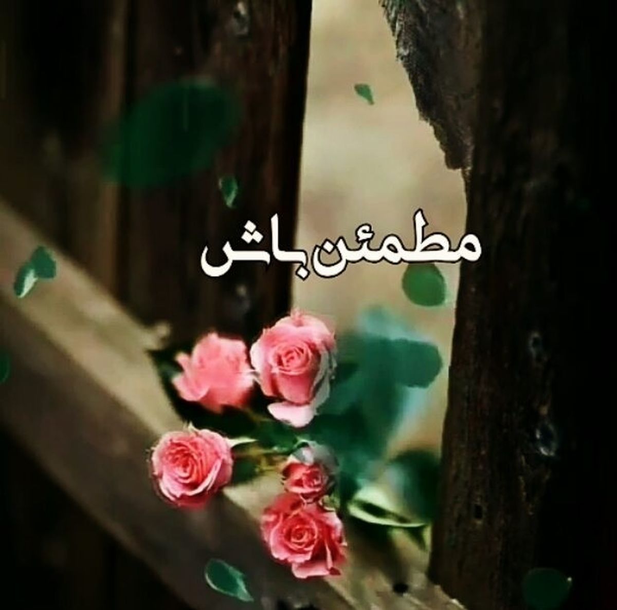 کلیپ مذهبی و آرامش دهنده درباره ی خدا + کلیپ جذاب 