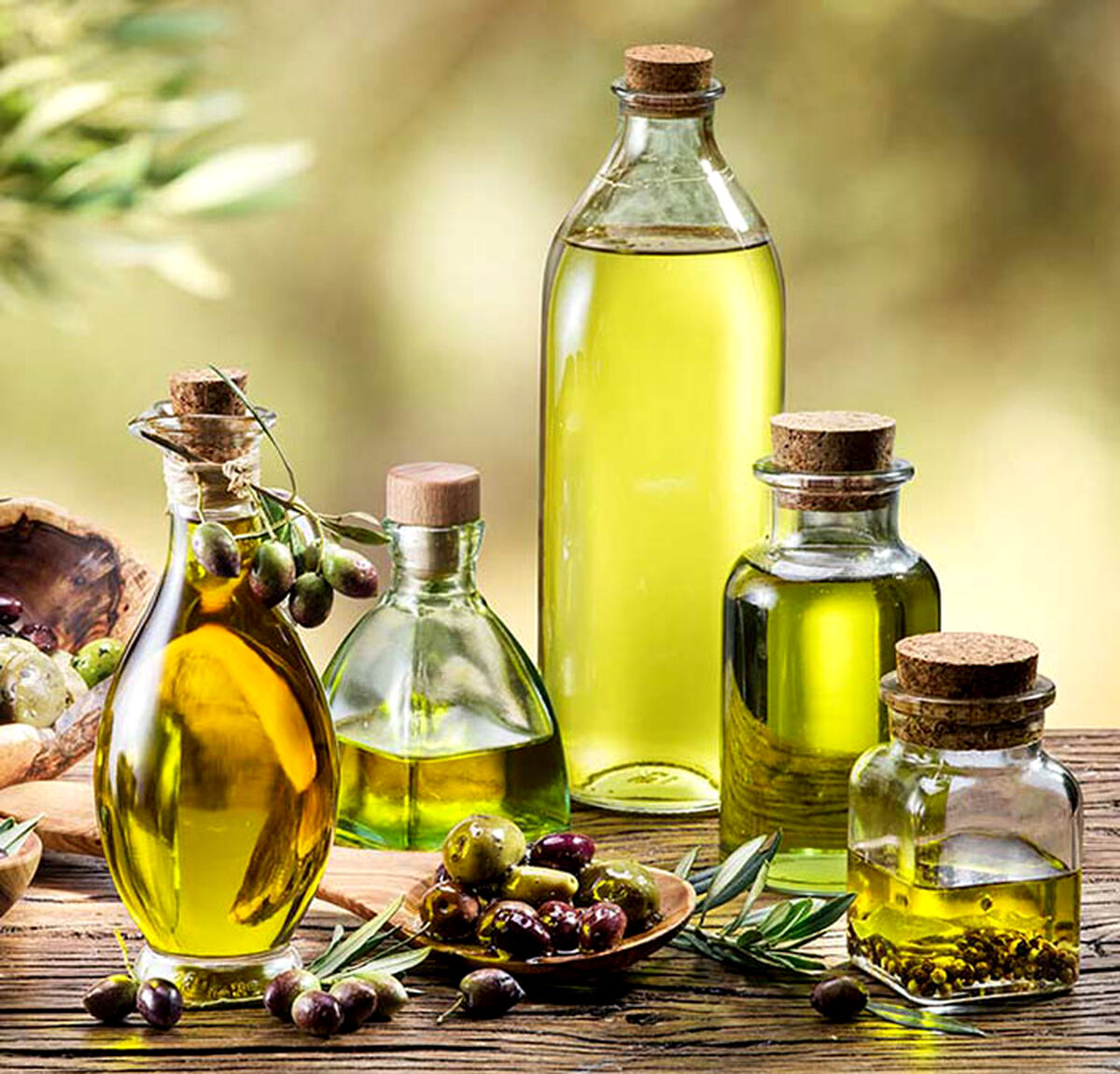 روغن زیتون را فراموش نکنید