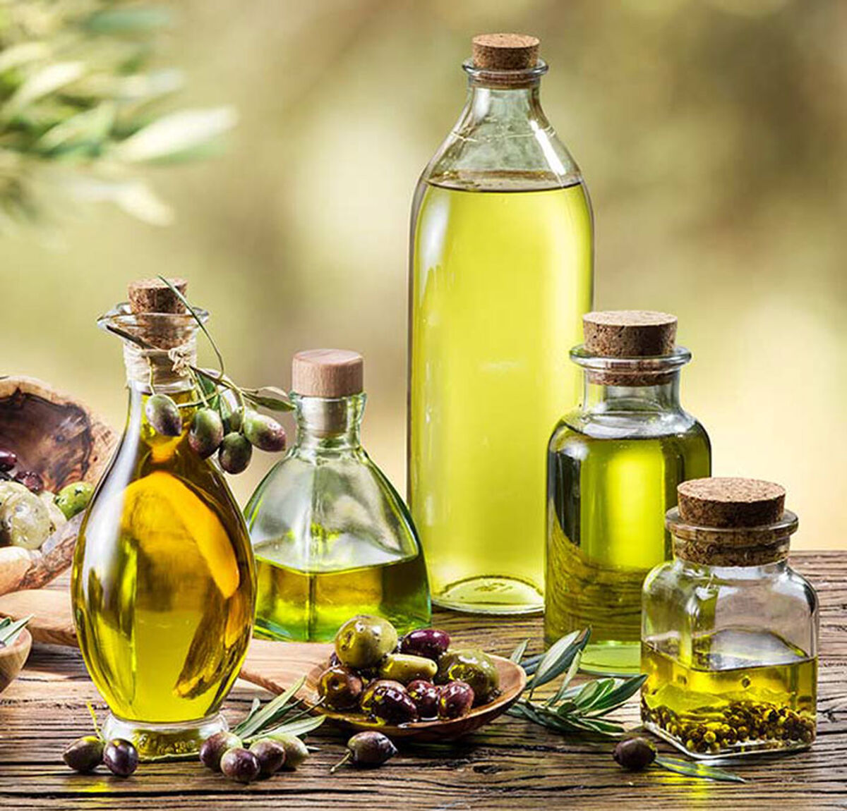 روغن زیتون را فراموش نکنید