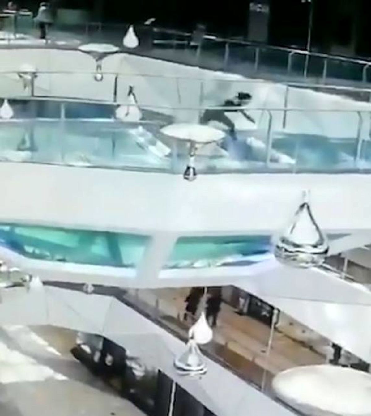 فرو افتادن زن جوان داخل دهان کوسه ها