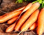 با این روش هیچوقت به کرونا مبتلا نمی شوید