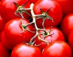 گوجه به عنوان داروی پارکینسون + جزئیات