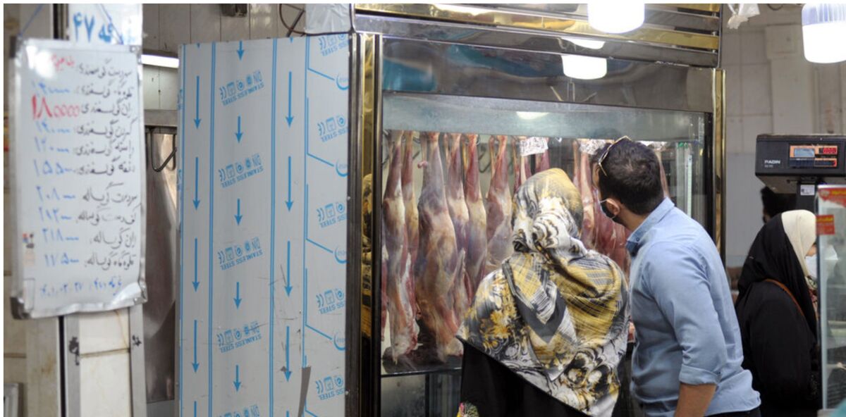 عرضه گوشت در کف 8 ماه | رمزگشایی از گرانی گوشت قرمز 