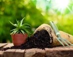 کود آلی چیست؟ راهنمای کامل + قیمت
