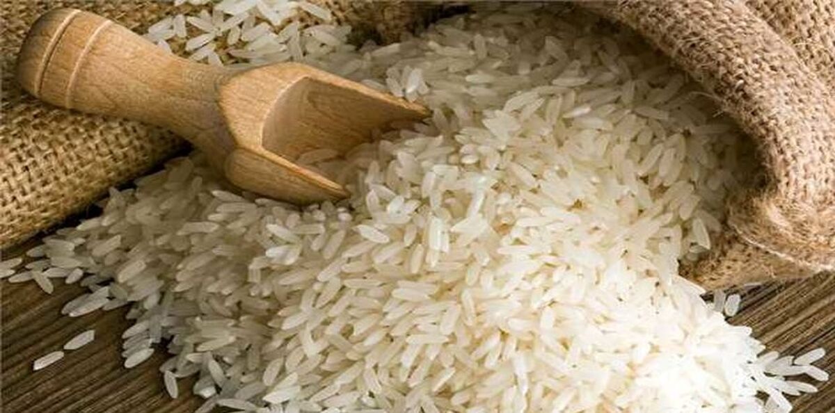 قیمت برنج بازار امروز! | کاهش ادامه دارد
