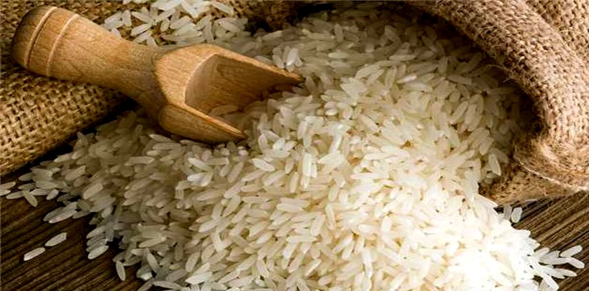 قیمت برنج چقدر شد؟| قیمت مصوب برنج اعلام شد