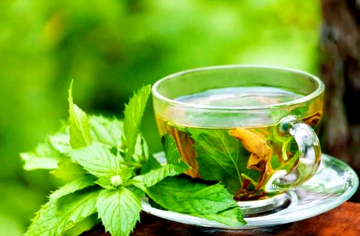 خواص باور نکردنی دمنوش پونه در این روز های کرونایی + جزئیات 