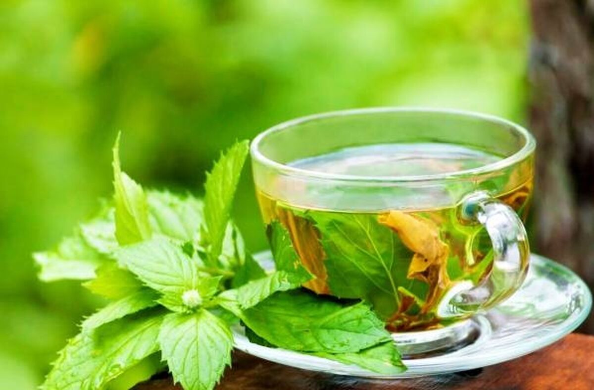 خواص باور نکردنی دمنوش پونه در این روز های کرونایی + جزئیات 