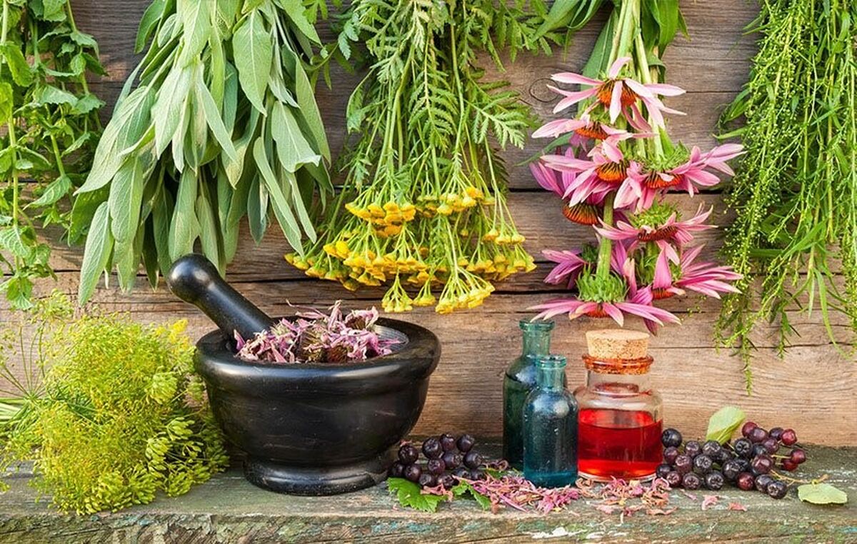 چرا باید از عصاره کاسیا و کاسنی استفاده کنیم ؟

