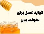 خواص عسل برای عفونت بدن که اثبات شده اند!
