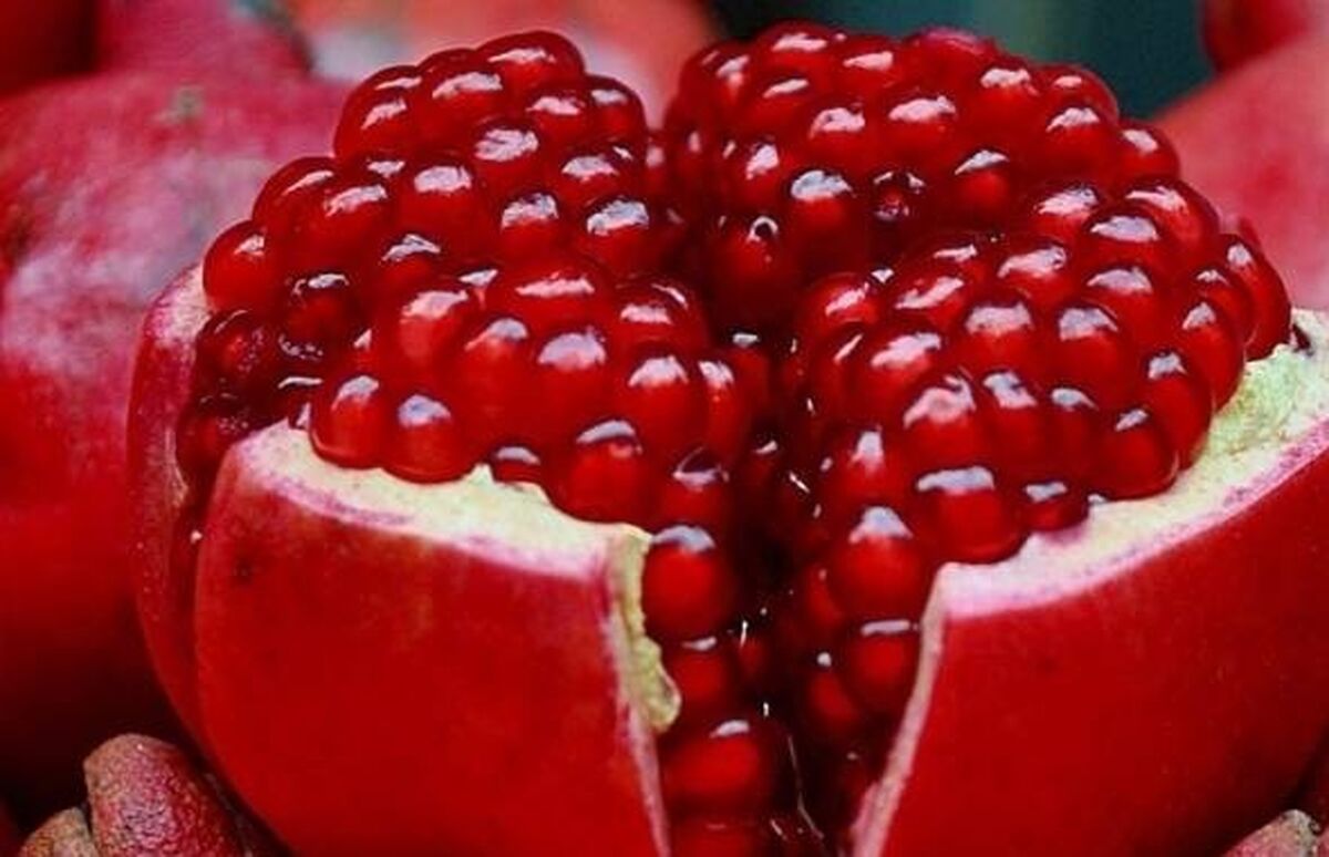 انار ترش بر سلامتی بهتر است یا انار شیرین ؟ + جزئیات 