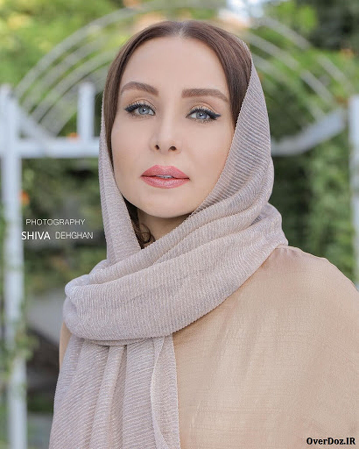 بیوگرافی حدیث فولادوند + جزئیات 