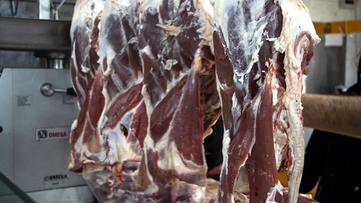 قیمت گوشت امروز 13 بهمن چقدر شد؟