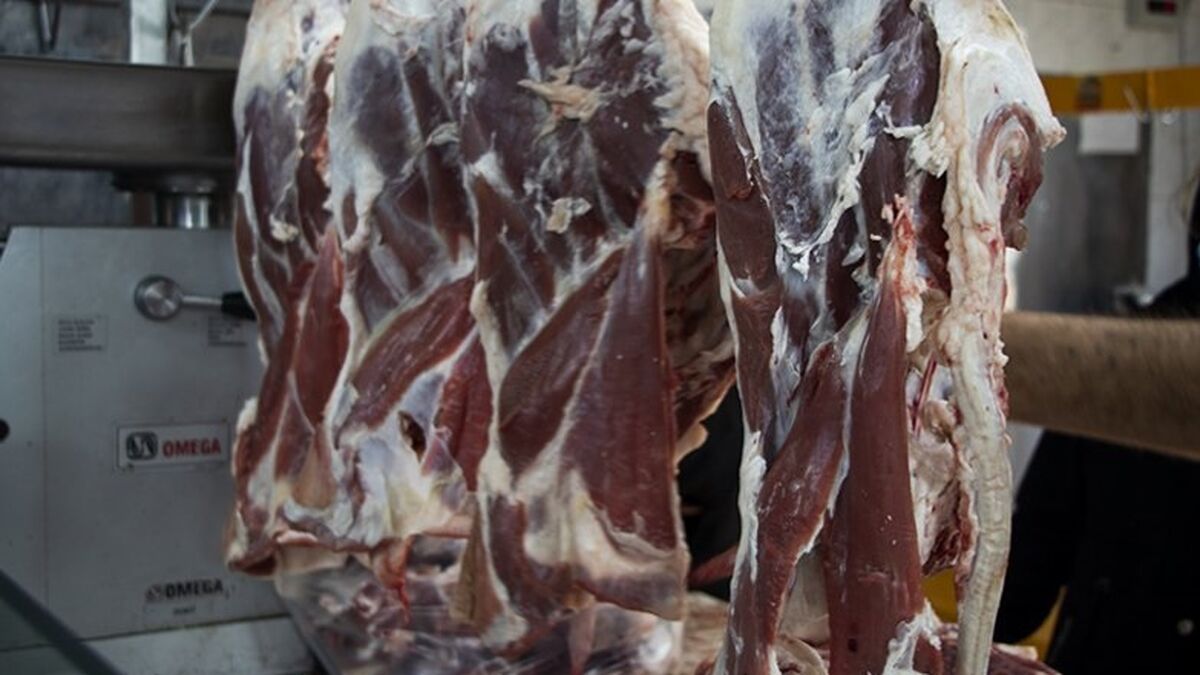 قیمت گوشت امروز 13 بهمن چقدر شد؟