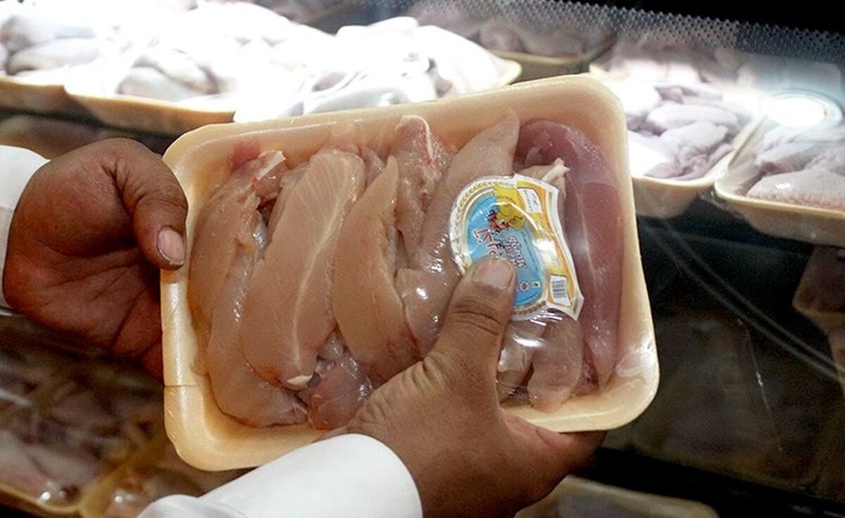 قیمت مرغ امروز 24 مرداد گران شد؟