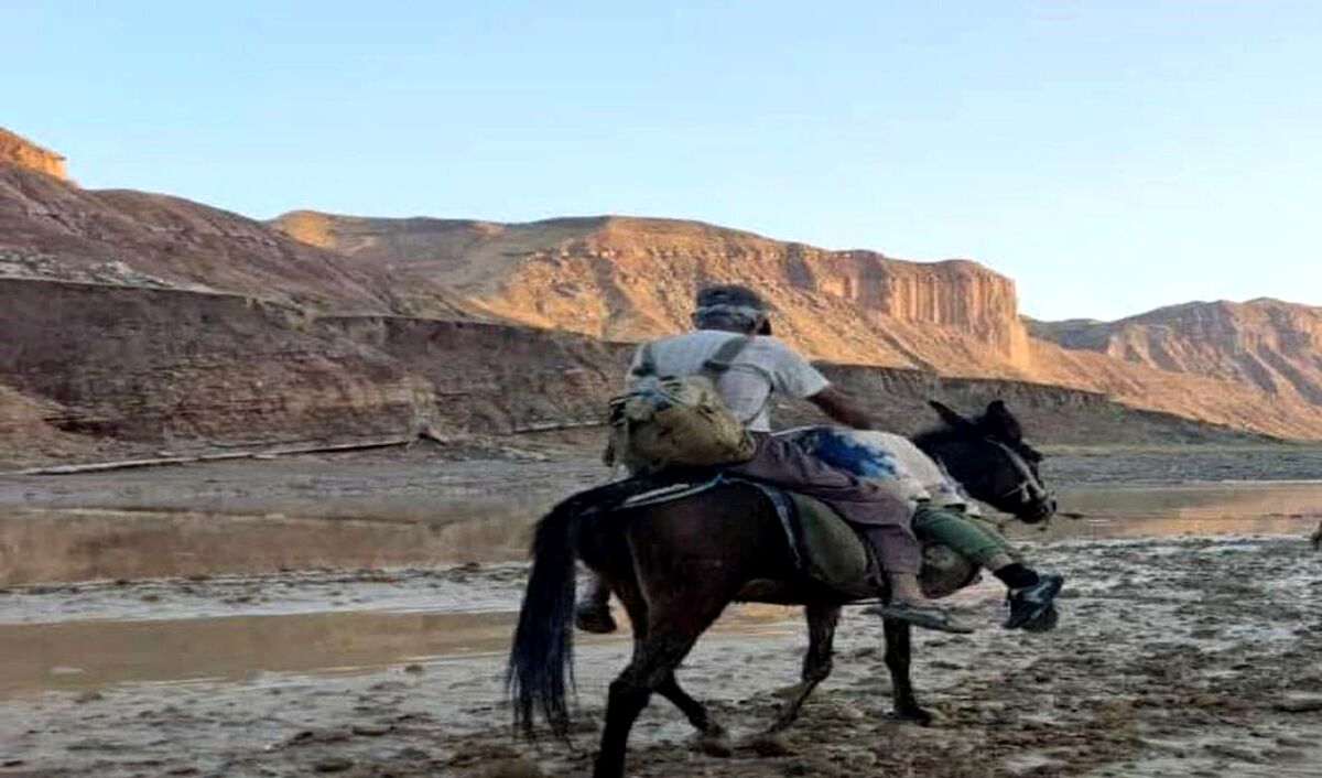 تصویر تکان دهنده از جسد پسر گناوه ای و انتقال به قبر جدید