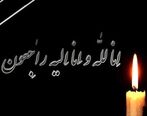 استان فارس عزای عمومی اعلام شد