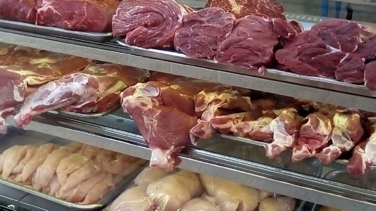 قیمت مرغ و گوشت در داخل دو برابر گران‌تر از وارداتی ها | قیمت مرغ و گوشت ارزان می شود؟
