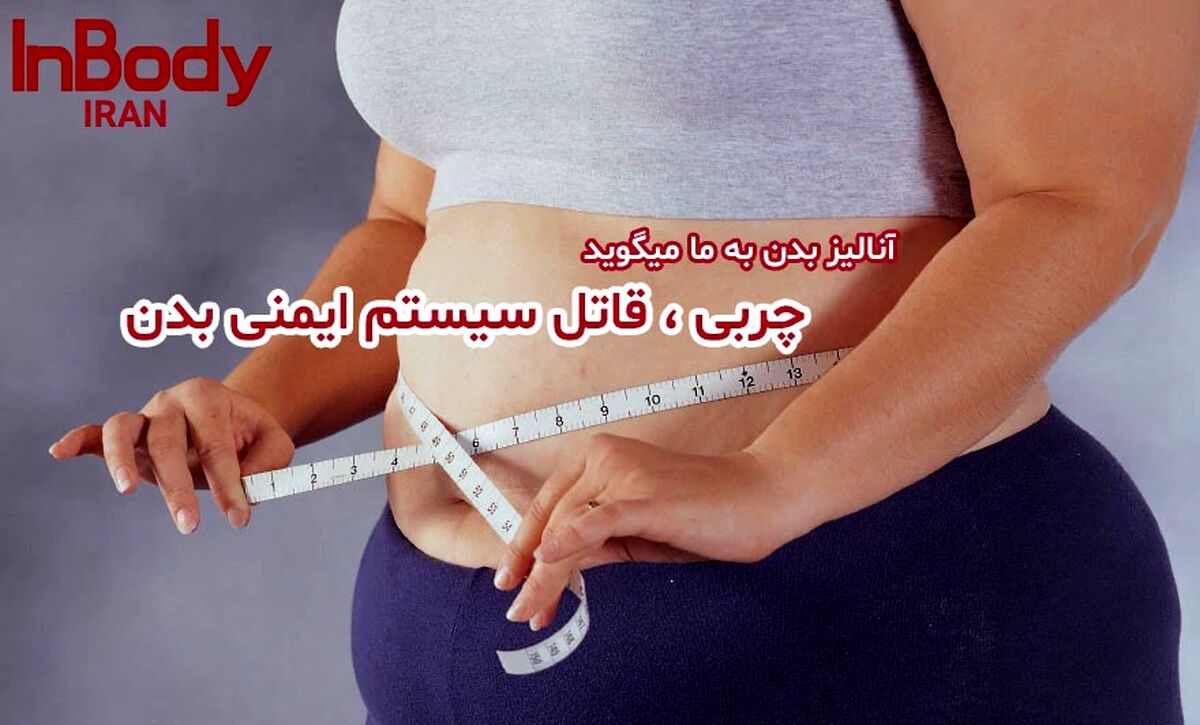 چربی، قاتل سیستم ایمنی بدن