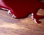 ماجرای قتل سحر 7 ساله از افسریه تهران