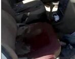 قتل تکان دهنده پژو سوار | قاتل خودش فیلم صحنه قتلش را دید 