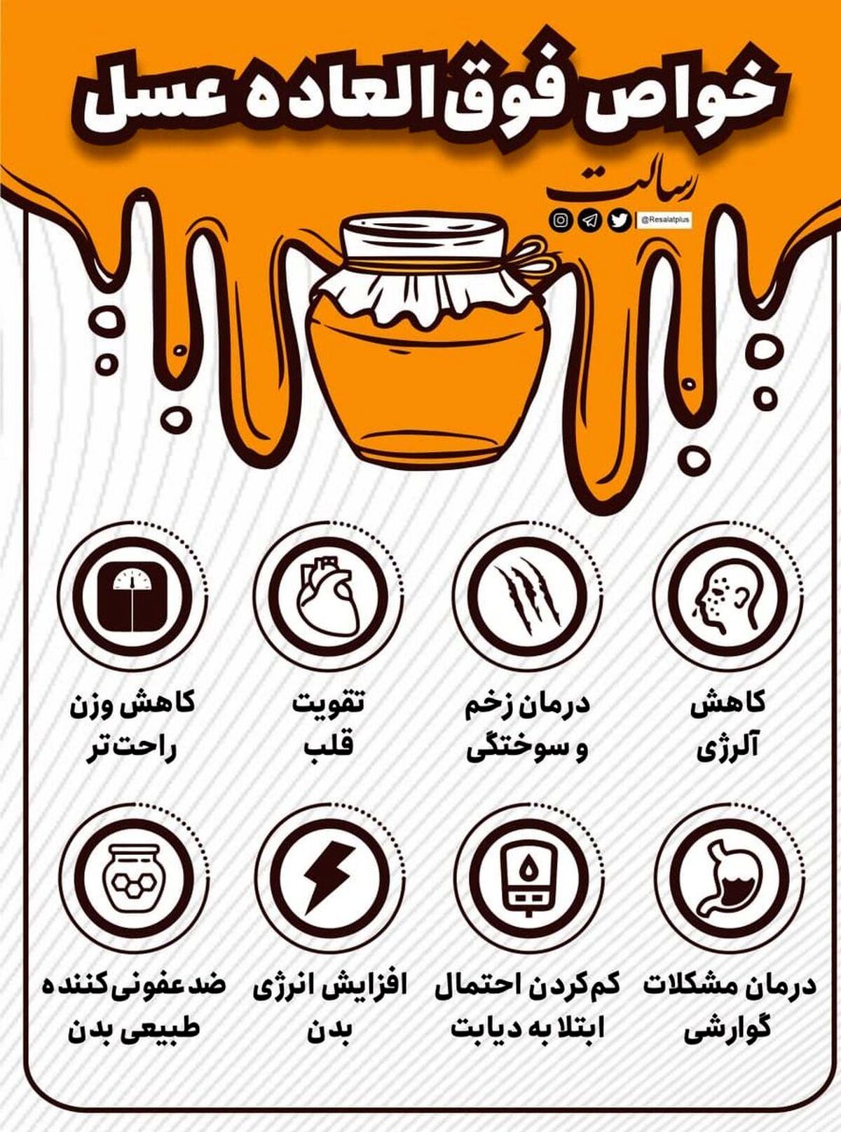 اینفوگرافی خواص معجزه آسای عسل