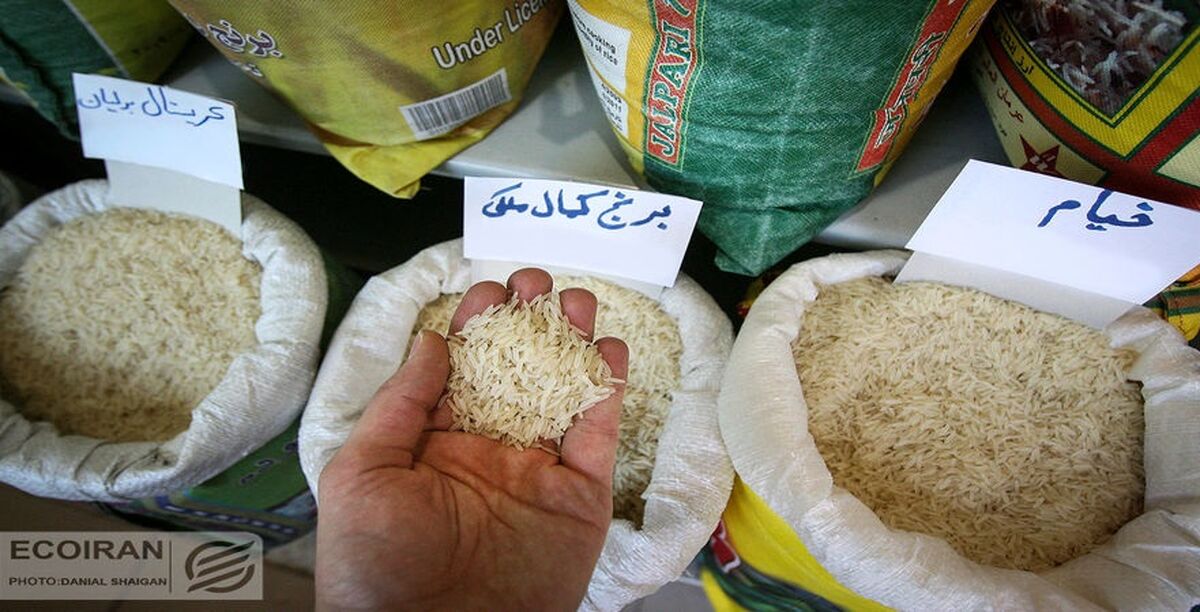قیمت برنج گران می شود؟ | قیمت جدید برنج به‌ زودی اعلام می‌شود