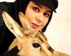 هورمون تراپی شهره لرستانی یا مازیار لرستانی جواب داد؟ | شهره لرستانی سابق قصد ازدواج با رابعه اسکویی دارد