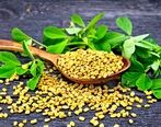 این گیاه درمانی عالی برای پیشگیری از موخوره و ریزش مو