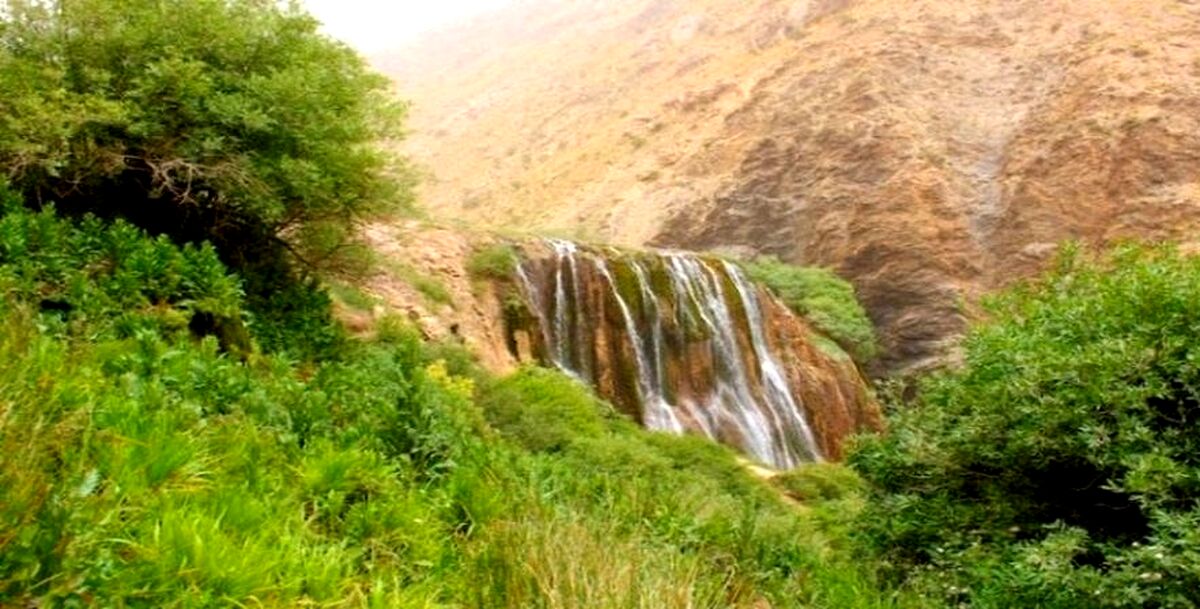 درمان مشکلات معده با دم کرده معجره آسا