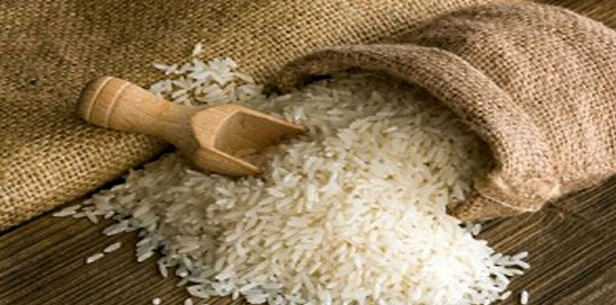 قیمت برنج شدیدا افزایش یافت