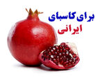 چطور آگهی خود را رایگان ثبت کنیم