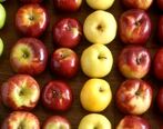 چرا قیمت میوه از مزرعه تا خانه اینقدر متفاوت است؟