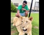 فیلم لاکچری بازی سعید عزت اللهی با شیر وحشی!| سعید عزت‌اللهی کنار یک شیر وحشی!