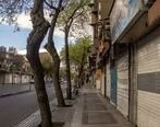 علیرضا زالی از برداشتن برخی محدودیت های کرونایی هشدار داد + جزئیات 